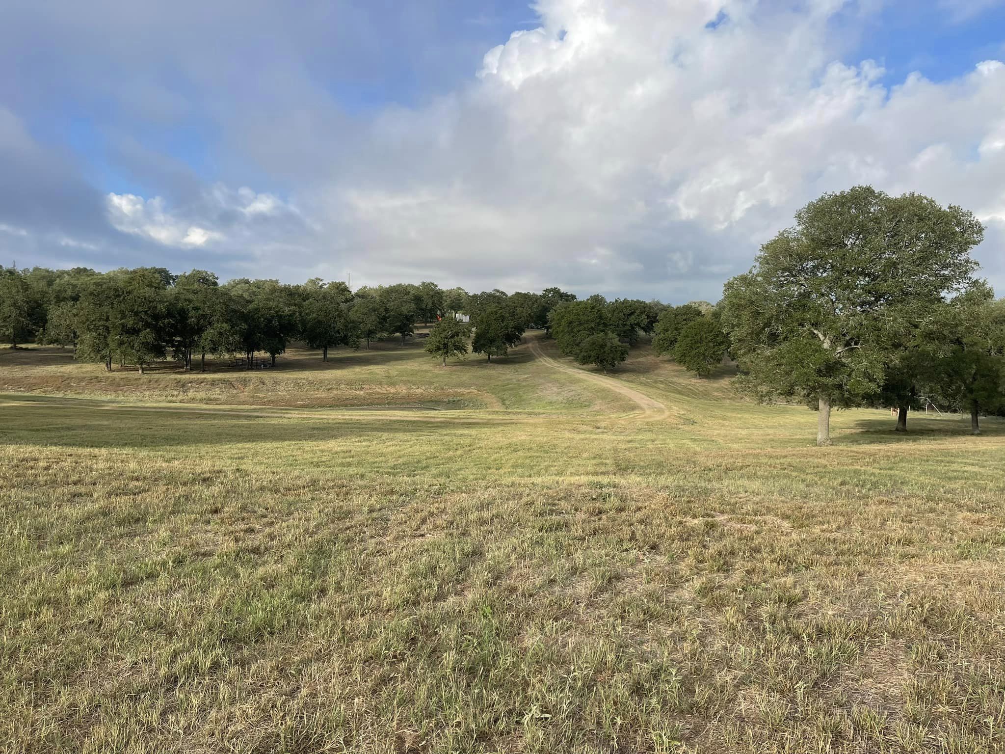 Professional large field clearing by HB Land Services